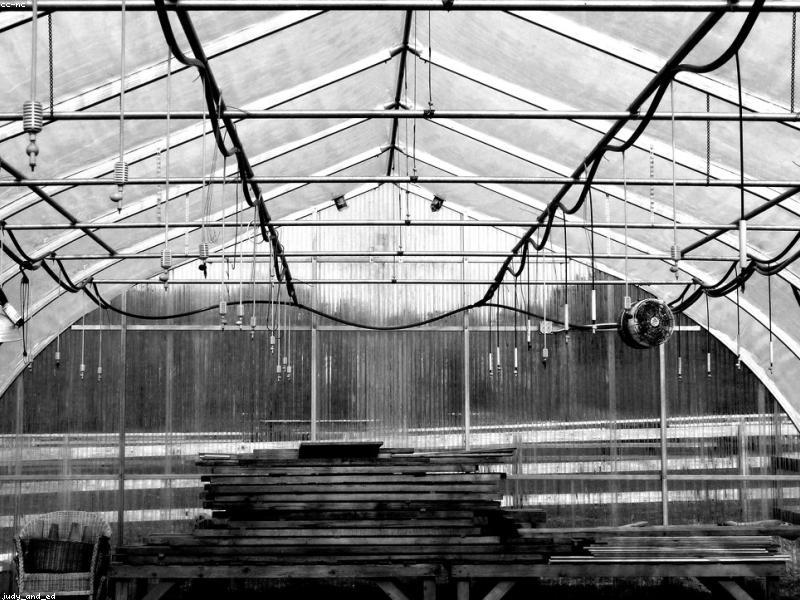 Serres et irrigation en Tunisie : optimiser sa production