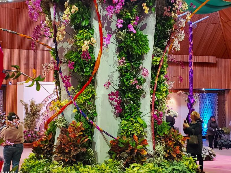 Jardinage et paysagisme en Tunisie : entretien régulier ou aménagement complet