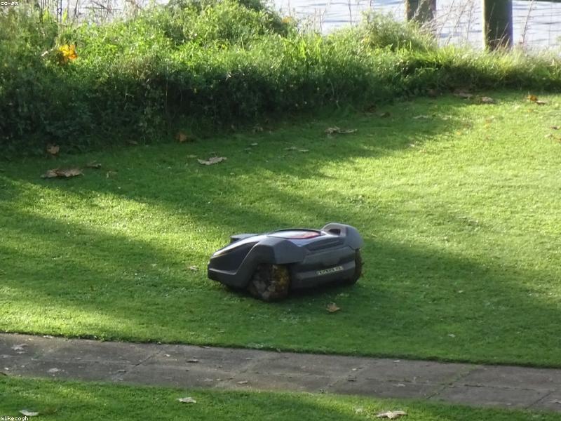 Outillage de jardin en Tunisie : tondeuse, taille-haie et petit matériel